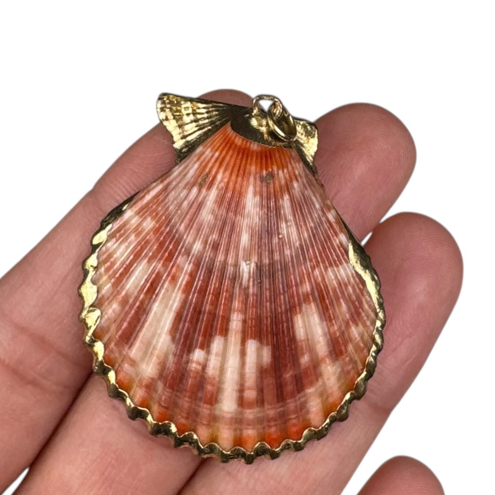 Handmade Natural‎ Scallop Shell Pendant Gold Trimmed Seashell Beach Charm C14Q